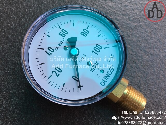 Dungs Pressure Gauge:0~600mbar (5)